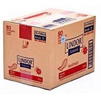 Lindor Pañal Lindor Anatomico Dia 2X40 100 g
