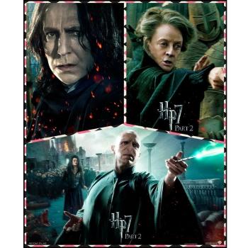 Harry Potter 7 Part 2 (24x29 inch, 60x73 cm) Silk Poster Seda Cartel PJ11-AAC2