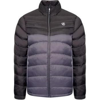 Chaqueta Acolchada Precipice para Hombre de Dare 2B, Gris negro/ébano, tamaño L, con aislamiento