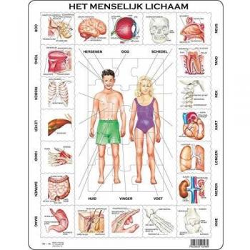 Puzzle Maxi Cuerpo Humano - 35 Piezas