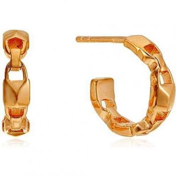 Michael Kors MKC1013AA791 Aretes para mujer