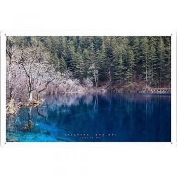 Metal cartel Cartel de chapa Hojalata sesión Lake Blue Water Transparent Wood Coast 45813 Retro Vintage Pared Decoración by hamgaacaan