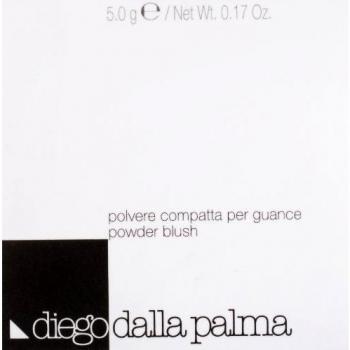 Rubor en Polvo Compacto 11 - Rosa Mate - Diego Dalla Palma - Acabado Suave y Natural