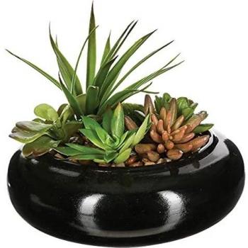 Composición de centro: surtido de plantas con florero de cerámica D20XH6