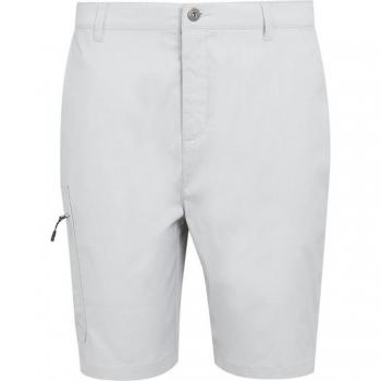 Regatta Men's Silver Grey Dalry Multi-Pocket Mountain Shorts