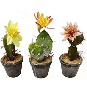 SET 3 MACETAS CON CACTUS ARTIFICIAL FLOR ARTIFICIAL VARIADO