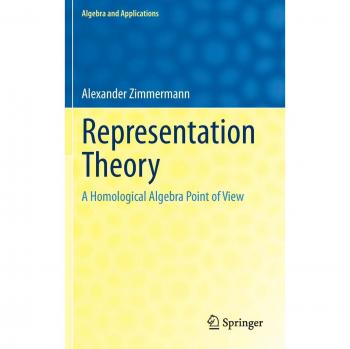 Representation Theory: A Homological Algebra Point of View