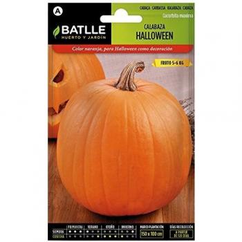 Semillas de Calabaza Estilo Halloween para Jardinería