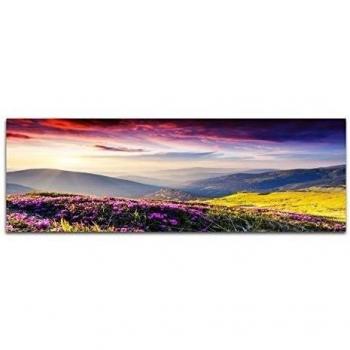 Imagen panorámica sobre lienzo y bastidor 120 x 40 cm Ucrania Flores Montañas sol de tarde