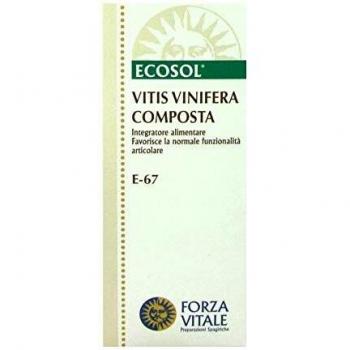 VITIS VINIFERA COMP 50ML GTT FVI
