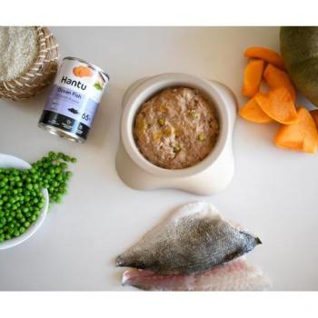 Hantu Ocean Fish Wet Food with Pumpkin and Peas for Adult Dogs
