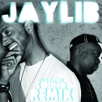 Champion Sound: the Remix [VINYL] [Vinilo]