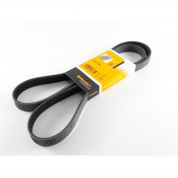 ContiTech 6PK1538 Correa