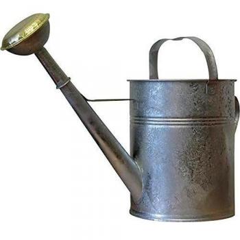 Regadera de 10 litros de chapa galvanizada