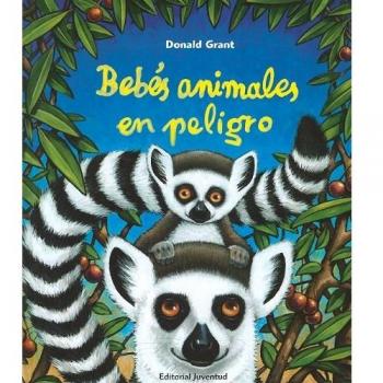 Bebés animales en peligro