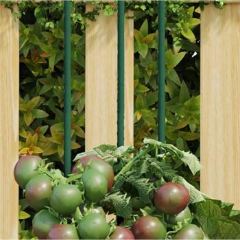 Soporte para plantas de jardín 30 piezas de acero verde 90 cm
