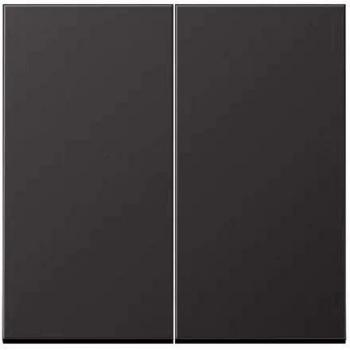 Tecla doble para interruptor o pulsador DARK JUNG AL 2995 D