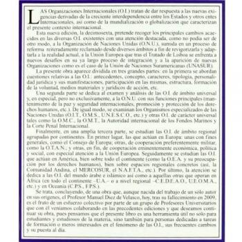 Las organizaciones internacionales
