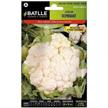 Coliflor Dominant BLANQUITA