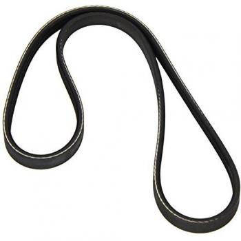 Dayco 3PK812 Poly Rib Belt