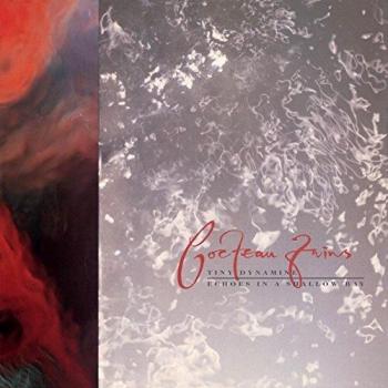 Tiny Dynamine Echoes In A Shallow Bay VINYL
