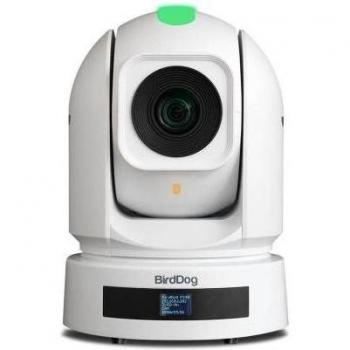 BirdDog P240W Dome IP Security Camera