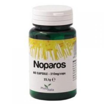 GASTRACTIVE PLUS 40CPR 16G