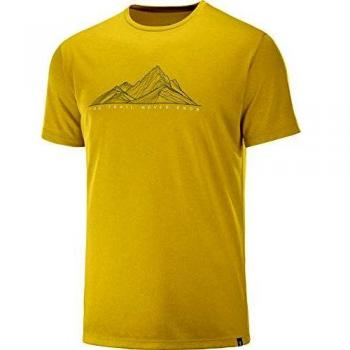 SALOMON Agile Graphic tee Camiseta, Hombre, Lemon Curry/Heather, m