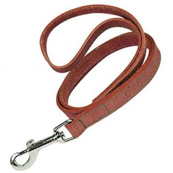 Correa para Perro Gloria Oasis 1.5 x 100 cm Rojo