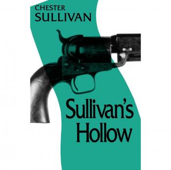 Sullivan's Hollow: A Haunting Novel of Mystery and Intrigue