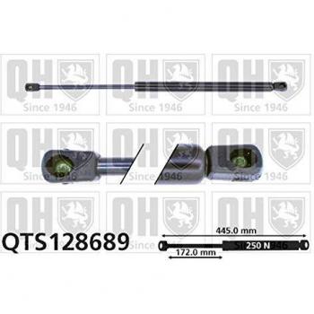 Amortiguador de maletero hidráulico Quinton Hazell QTS128689 para Peugeot 406 Berline