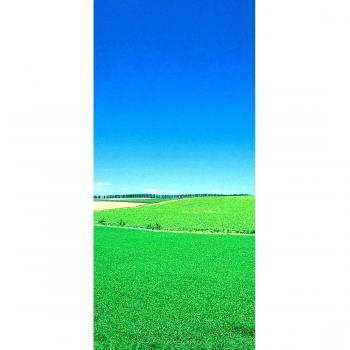 peelitstickit id-0883 60 ancho x 130 cm de altura Hermosa Naturaleza Mural de pared vinilo de alta calidad