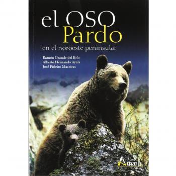 OSO PARDO NOROESTE PENINSULAR