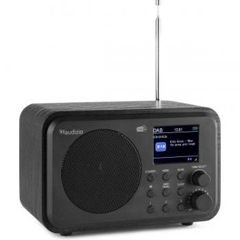 Audizio Milan Radio Portable DAB + BT con Batería Color Negro 102212