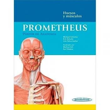Prometheus. Poster de anatomia: Huesos y músculos - Schünke, Michael
