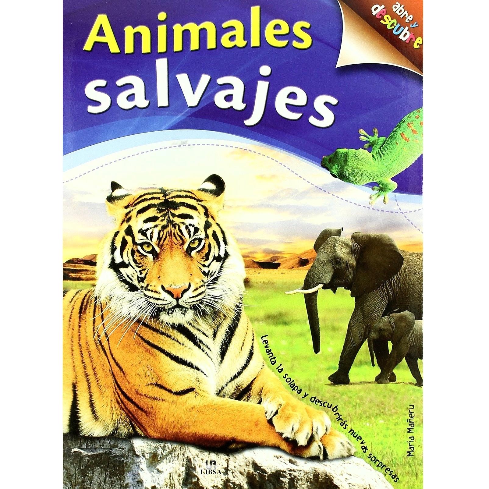 Imagen Principal