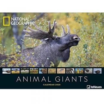 Calendario Póster Gigantes Animales 2020