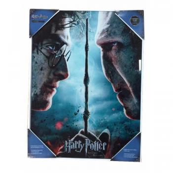 SD toys Poster Harry Potter y Voldemort, Multicolor, 41x31x3 cm