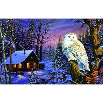 SunsOut Night Watch 1000-Piece Terry Doughty Puzzle