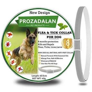 PROZADALAN Nuevo Diseño - Collares Antiparasitario para Perros, Eficaz Collar Antiparasitos Perros contra Pulgas y Garrapatas, 63cm Ajustable e Impermeable para Mascotas Pequeñas, Medianas y Grandes