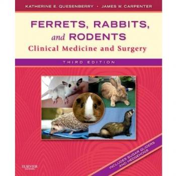 Ferrets, Rabbits, and Rodents,: Clinical Medicine and Surgery