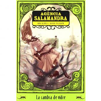 La cambra de vidre