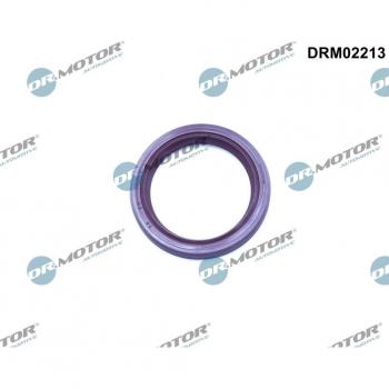 Retén de árbol de levas DR.MOTOR AUTOMOTIVE DRM02213 para Renault, Fiat y Peugeot