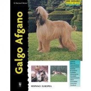 Galgo Afgano