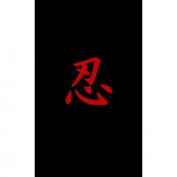 Manual del Ninja Negro: Guía Completa en Tapa Dura para Maestros Oscuros