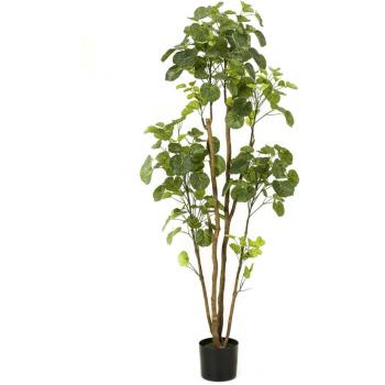 Polyscias artificial Emerald con maceta 160 cm Verde