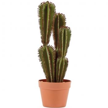 Cactus Artificial Euphorbia Suzannae 57,5 cm