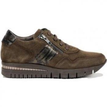 Fluchos MERYL F1619 Deportivo Verde - Diseño moderno y confort excepcional