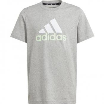 Camiseta Adidas Big Logo 2 Infantil Gris