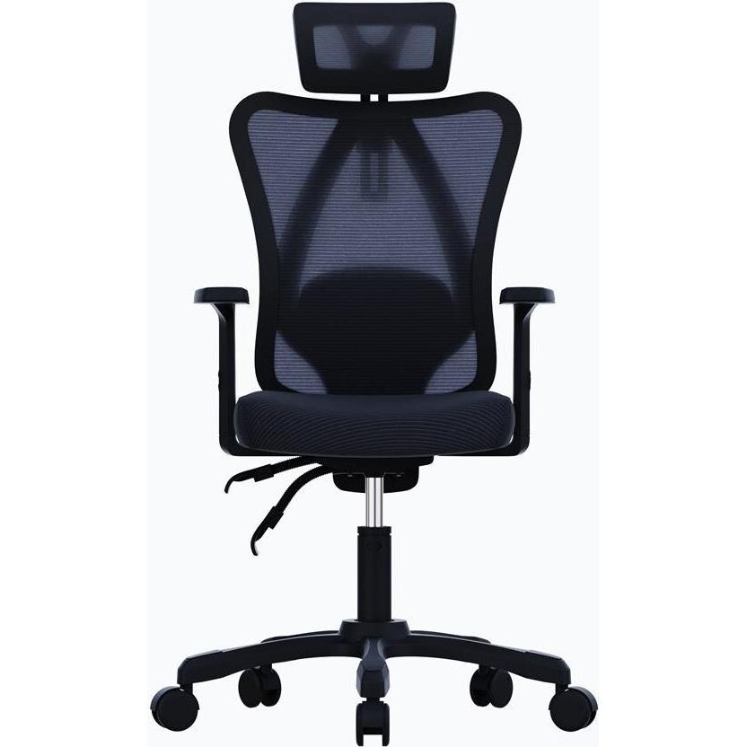 Imagen Principal